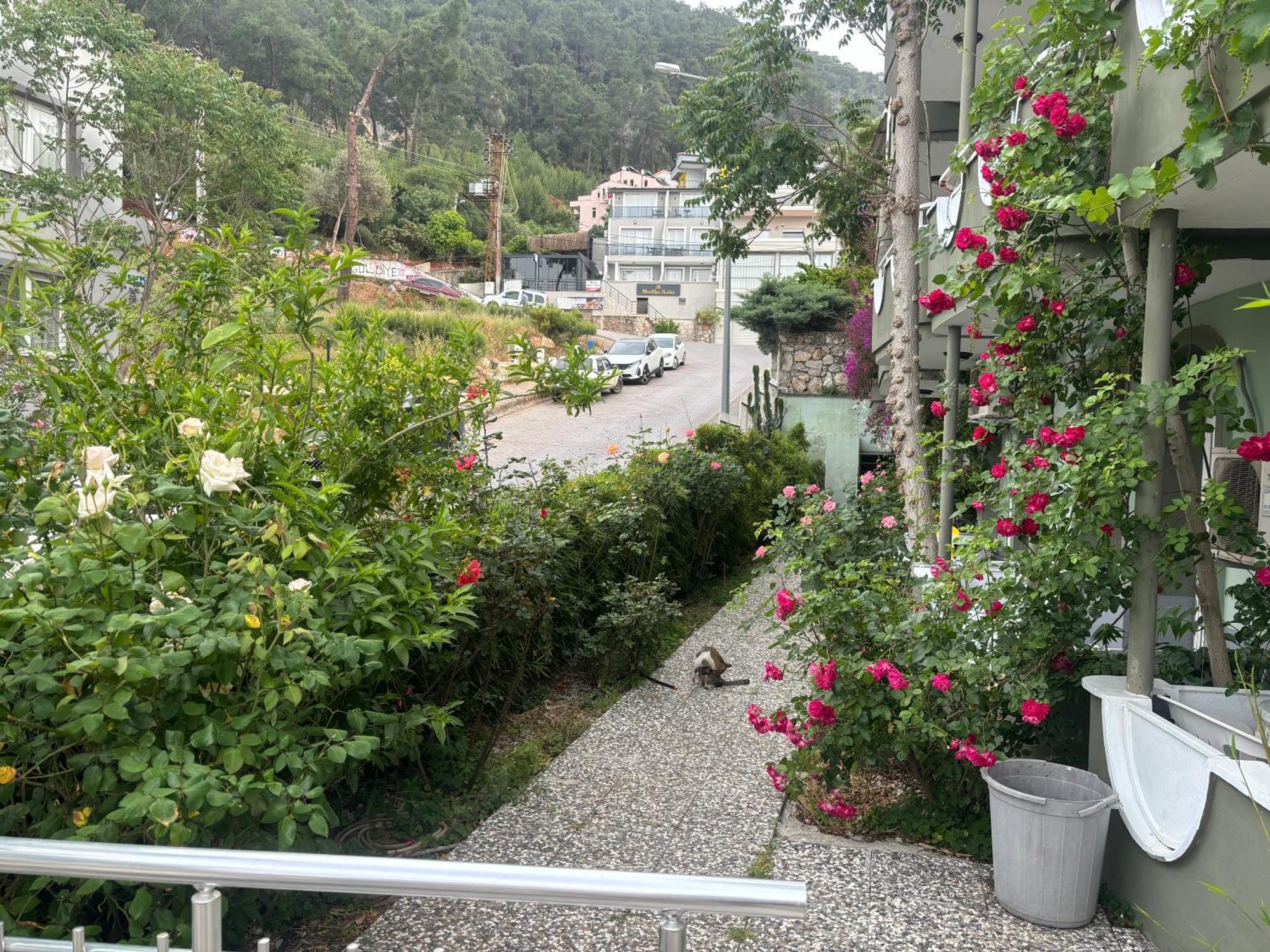 Ideal Pension Fethiye Ngoại thất bức ảnh